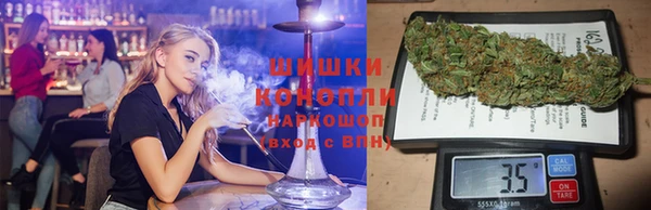 гидра Верея