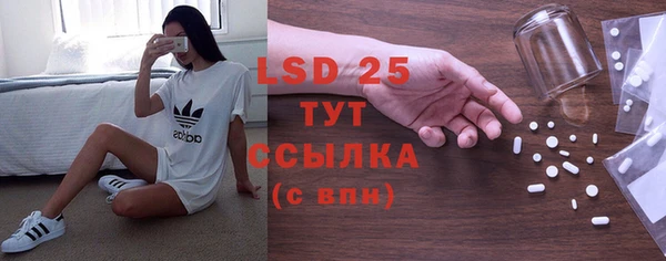 амф Верхний Тагил