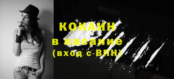 гидра Верея