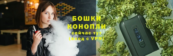 амф Верхний Тагил