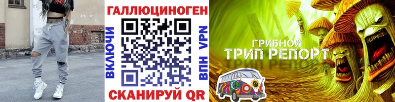 где купить наркоту  Невель  Псилоцибиновые грибы мухоморы 